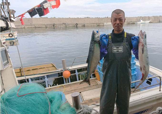 礼文島秋鮭初漁