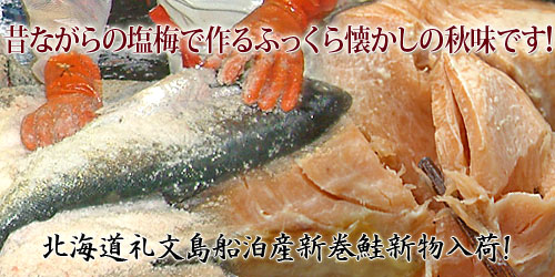 礼文島産新巻鮭