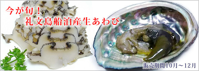 礼文島産生あわび